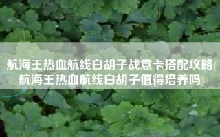 航海王热血航线白胡子战意卡搭配攻略(航海王热血航线白胡子值得培养吗)