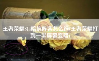 王者荣耀S14暗信阵容怎么选(王者荣耀打到一半屏幕变暗)