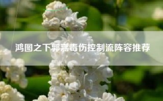 鸿图之下郭嘉毒伤控制流阵容推荐