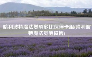 哈利波特魔法觉醒多比伙伴卡组(哈利波特魔法觉醒微博)