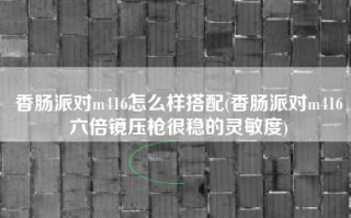 香肠派对m416怎么样搭配(香肠派对m416六倍镜压枪很稳的灵敏度)