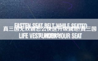 真三国无双霸怎么快速升级属地(真三国无双游戏)