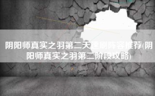 阴阳师真实之羽第二天速刷阵容推荐(阴阳师真实之羽第二阶段攻略)