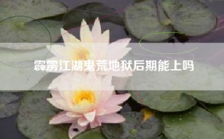 霹雳江湖鬼荒地狱后期能上吗