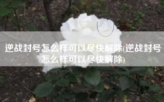 逆战封号怎么样可以尽快解除(逆战封号怎么样可以尽快解除)
