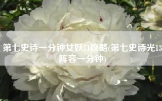 第七史诗一分钟女妖11攻略(第七史诗光13阵容一分钟)