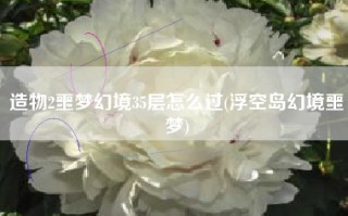 造物2噩梦幻境35层怎么过(浮空岛幻境噩梦)