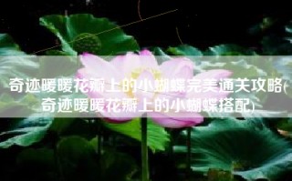 奇迹暖暖花瓣上的小蝴蝶完美通关攻略(奇迹暖暖花瓣上的小蝴蝶搭配)
