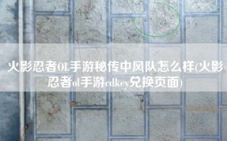 火影忍者OL手游秘传中风队怎么样(火影忍者ol手游cdkey兑换页面)