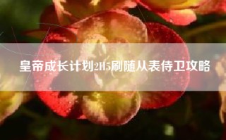 皇帝成长计划2H5刷随从表侍卫攻略