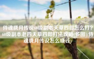 侍魂胧月传说60级副本天草四郎怎么打？60级副本老四天草四郎打法攻略[多图](侍魂胧月传说怎么赚钱)