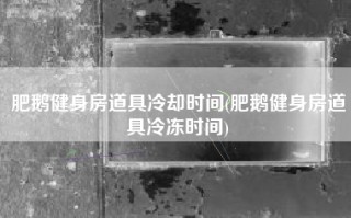 肥鹅健身房道具冷却时间(肥鹅健身房道具冷冻时间)