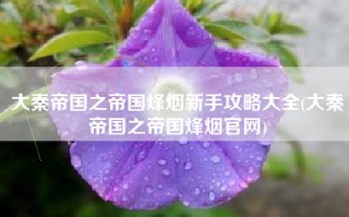 大秦帝国之帝国烽烟新手攻略大全(大秦帝国之帝国烽烟官网)