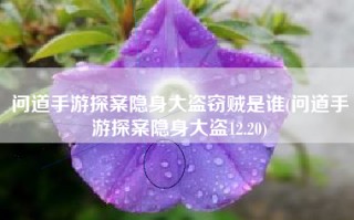 问道手游探案隐身大盗窃贼是谁(问道手游探案隐身大盗12.20)