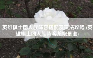 英雄棋士团人族阵容搭配及玩法攻略 (英雄棋士团人族阵容龙炮是谁)