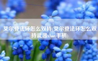 艾尔登法环怎么双持(艾尔登法环怎么双持武器xbox手柄)