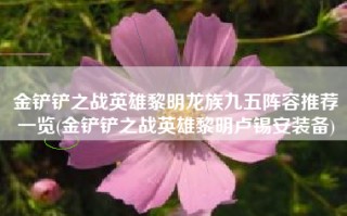金铲铲之战英雄黎明龙族九五阵容推荐一览(金铲铲之战英雄黎明卢锡安装备)