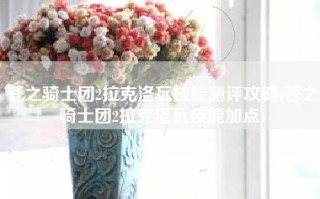苍之骑士团2拉克洛瓦技能测评攻略(苍之骑士团2拉克洛瓦技能加点)