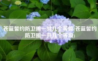 苍蓝誓约防卫圈一共几个等级(苍蓝誓约防卫圈一共几个等级)