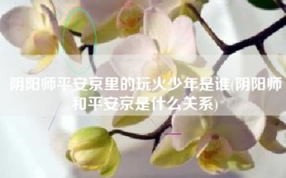 阴阳师平安京里的玩火少年是谁(阴阳师和平安京是什么关系)