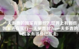 一夫多妻的国家有哪些？世界上有哪些国家还在实行一夫多妻制？(一夫多妻的国家有哪些巴拉圭)