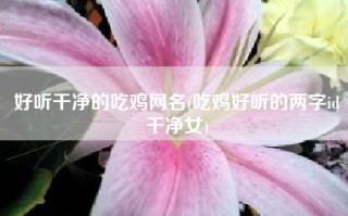 好听干净的吃鸡网名(吃鸡好听的两字id干净女)