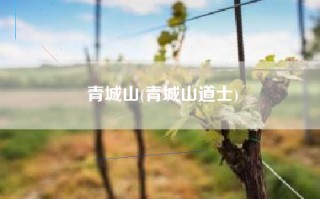 青城山(青城山道士)