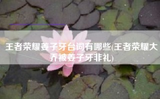 王者荣耀姜子牙台词有哪些(王者荣耀大乔被姜子牙非礼)