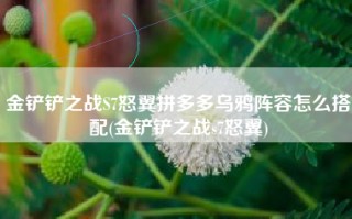金铲铲之战S7怒翼拼多多乌鸦阵容怎么搭配(金铲铲之战s7怒翼)