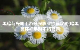 黑暗与光明手游最强职业推荐攻略(暗黑破坏神手游不朽官网)