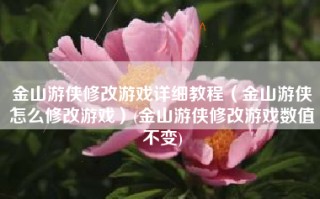 金山游侠修改游戏详细教程（金山游侠怎么修改游戏）(金山游侠修改游戏数值不变)