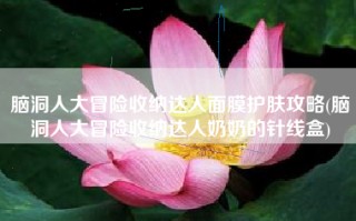 脑洞人大冒险收纳达人面膜护肤攻略(脑洞人大冒险收纳达人奶奶的针线盒)