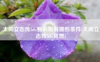太阁立志传5dx娶莉璐有哪些条件(太阁立志传5dx冥想)