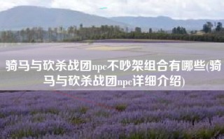 骑马与砍杀战团npc不吵架组合有哪些(骑马与砍杀战团npc详细介绍)