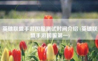 英雄联盟手游国服测试时间介绍 (英雄联盟手游国服第一)