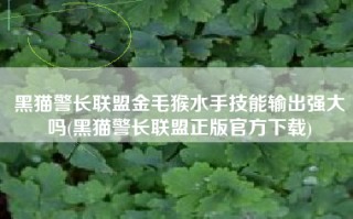 黑猫警长联盟金毛猴水手技能输出强大吗(黑猫警长联盟正版官方下载)