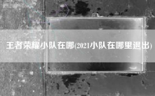 王者荣耀小队在哪(2021小队在哪里退出)