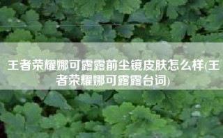 王者荣耀娜可露露前尘镜皮肤怎么样(王者荣耀娜可露露台词)