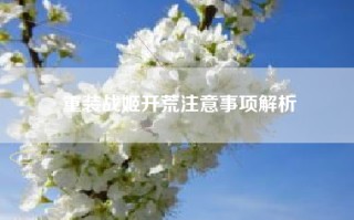 重装战姬开荒注意事项解析