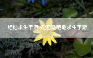绝地求生手游 先进群,绝地求生手游