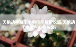 天地劫手游于小雪技能解析攻略(天地劫于小雪有必要抽么)