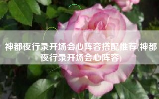 神都夜行录开场会心阵容搭配推荐(神都夜行录开场会心阵容)