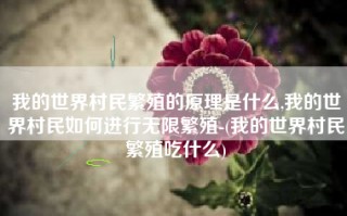 我的世界村民繁殖的原理是什么,我的世界村民如何进行无限繁殖-(我的世界村民繁殖吃什么)
