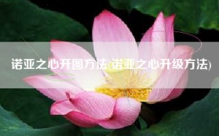 诺亚之心开图方法(诺亚之心升级方法)