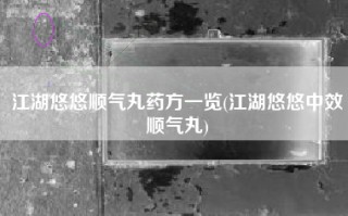 江湖悠悠顺气丸药方一览(江湖悠悠中效顺气丸)