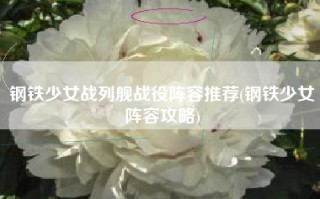 钢铁少女战列舰战役阵容推荐(钢铁少女阵容攻略)