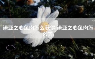 诺亚之心鱼肉怎么获得(诺亚之心鱼肉怎么弄)