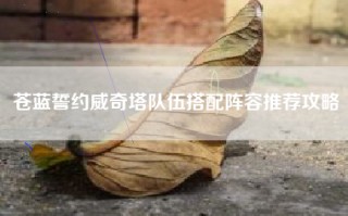 苍蓝誓约威奇塔队伍搭配阵容推荐攻略