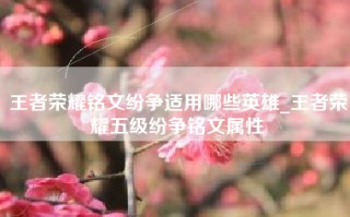 王者荣耀铭文纷争适用哪些英雄_王者荣耀五级纷争铭文属性