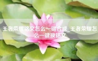 王者荣耀铭文怎么一键合成_王者荣耀怎么一键换铭文